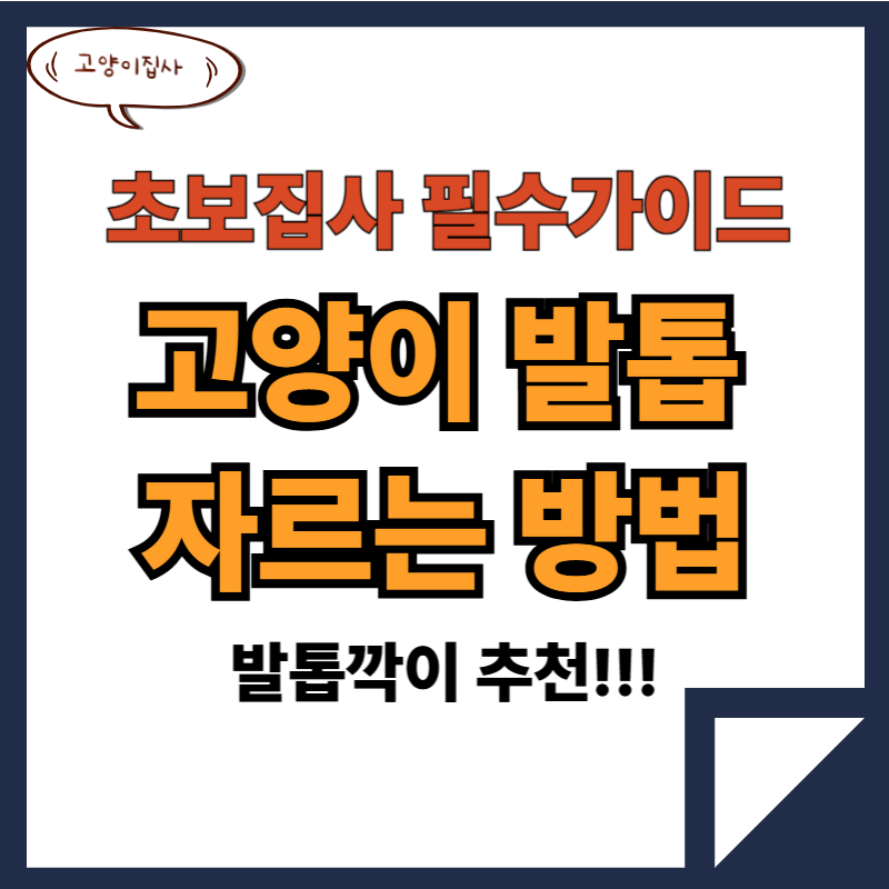고양이 발톱 자르기와 추천 발톱깎이 3종(집사 생존 팁) 2 고양이 발톱 자르는 법과 추천 발톱깎이