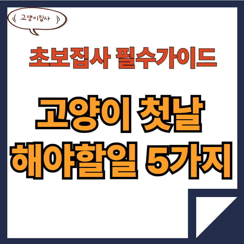 고양이 첫날 데려오는날 해야 할 일 5가지 2 고양이첫날해야할일5가지