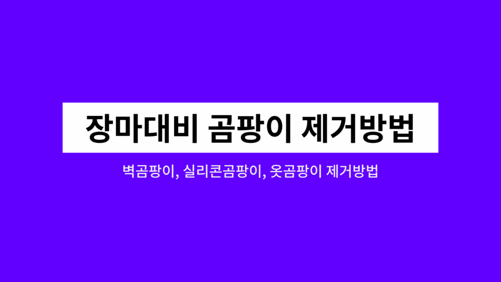 벽곰팡이 실리콘곰팡이 옷곰팡이 제거방법 2 장마대비곰팡이제거방법