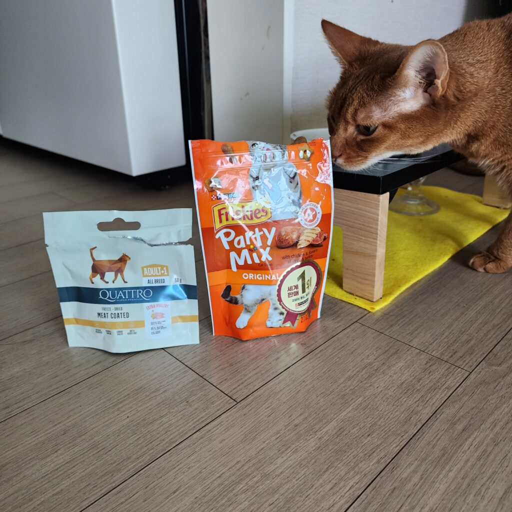 고양이 입맛에 맞는 사료와 간식 찾는 팁 6가지 3 고양이사료간식찾는팁