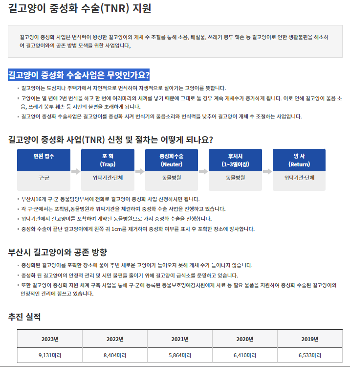 고양이 중성화 시기 수술비용 수술 후 관리법 4 고양이중성화시기비용수술후관리법
