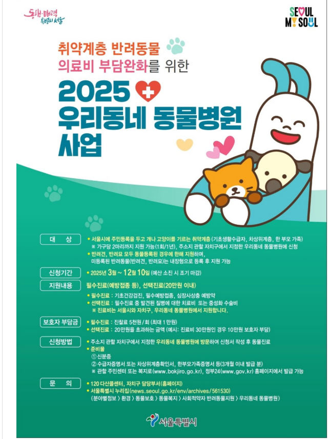 고양이 중성화 시기 수술비용 수술 후 관리법 2 고양이중성화시기비용수술후관리법