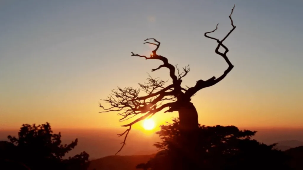 2026년 해돋이 일출 전국 명소 꼭 가봐야 할 곳 추천 6 2026년 해돋이 일출 명소